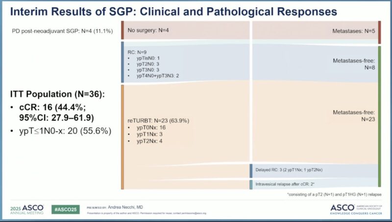 Key Insights by Tom Powles from ASCO25