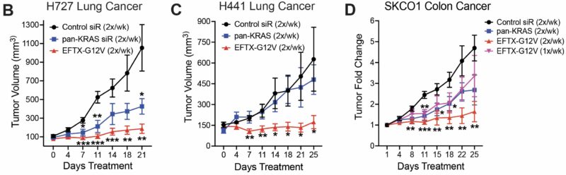 Chad Pecot: A First-in-Class EGFR-Directed KRAS G12V Selective Inhibitor