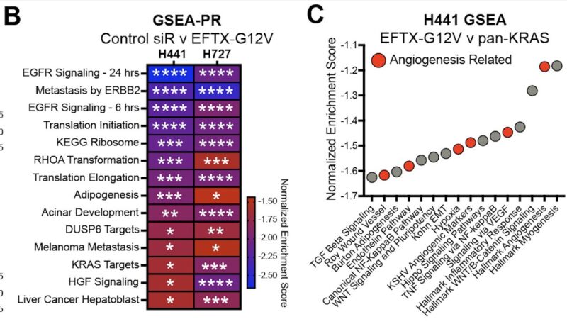 Chad Pecot: A First-in-Class EGFR-Directed KRAS G12V Selective Inhibitor