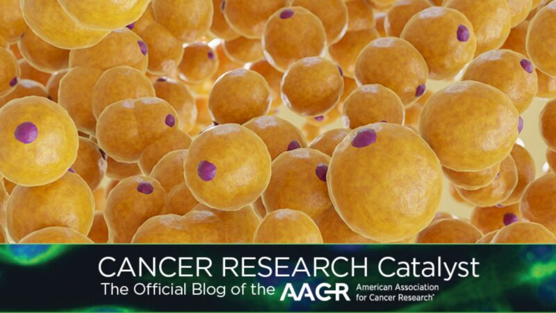 Innovative Approaches to Cancer Treatment Highlighted in Latest From the Bench – AACR