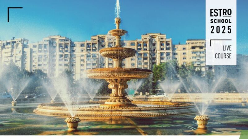 Sharpen Your Contouring Skills at the Target Volume Determination Course – ESTRO