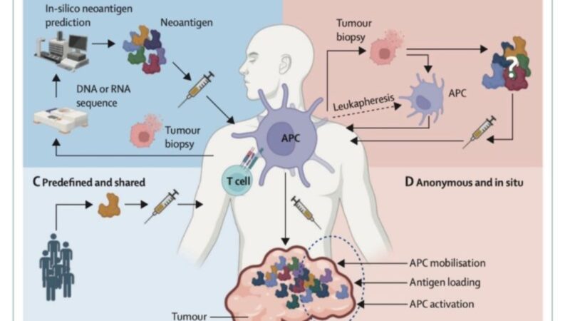 New Lancet review highlights the surge in cancer vaccine research – Lung Cancer Europe