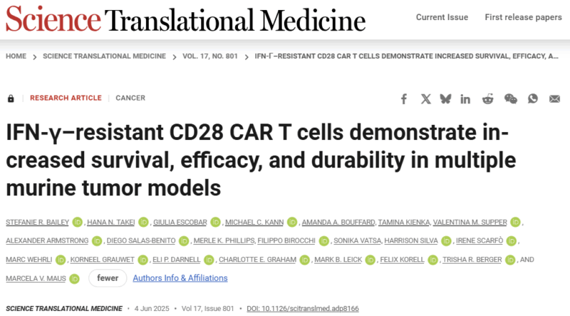 CAR T Cell