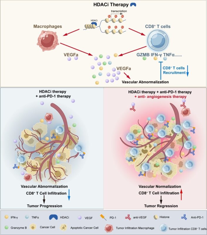 Immunotherapy 