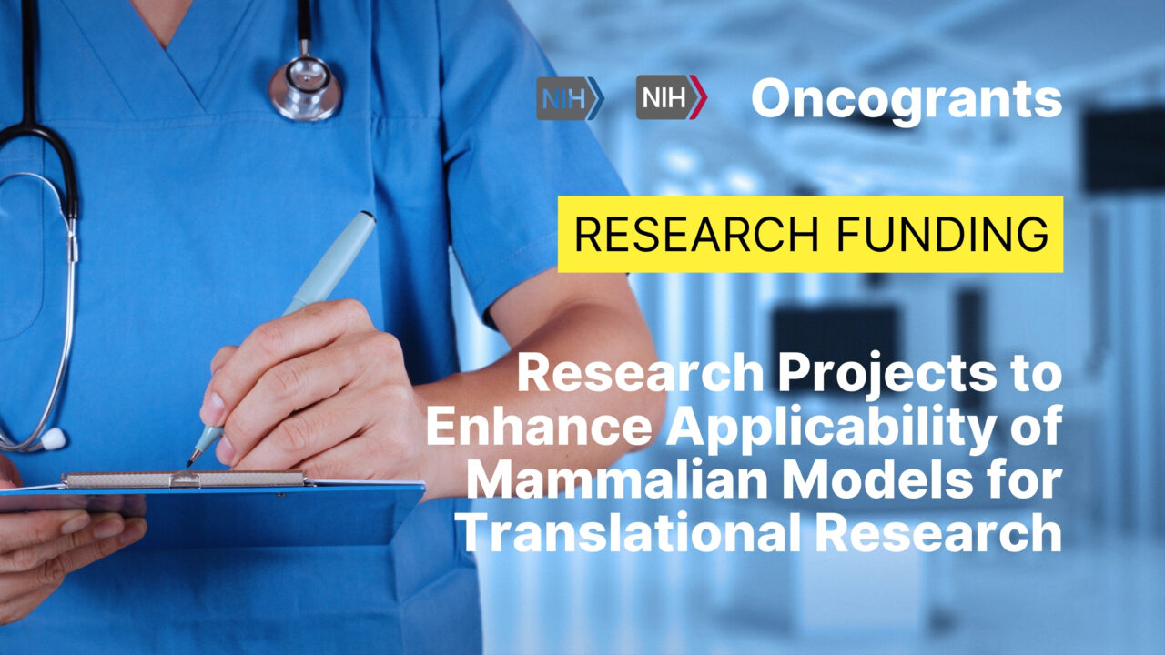 Research Projects to Enhance Applicability of Mammalian Models for Translational Research (R01 Clinical Trial Not Allowed, PAR-24-306)