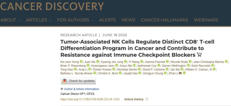NK Cells
