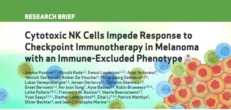 NK Cells