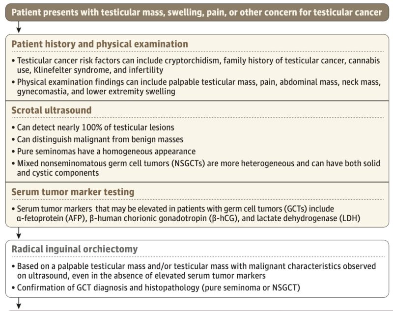 Testicular Germ Cell Tumors