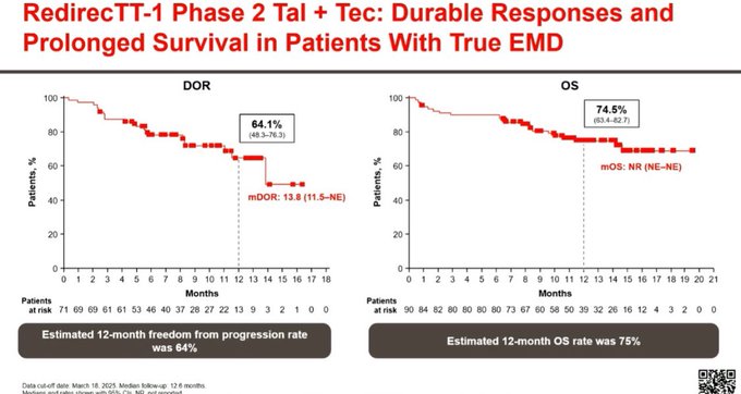 Vincent Rajkumar Discusses the RedirecTT-1 Myeloma Trial Presented at EHA25