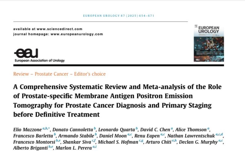 Sabine D. Brookman-May: Excellent Review on PSMA PET for Prostate Cancer Diagnosis