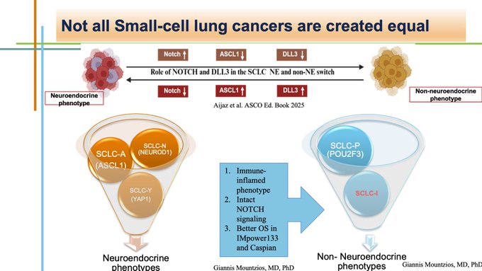 Giannis Mountzios Reflects on DeLLphi-304 Trial Impact on Recurrent SCLC