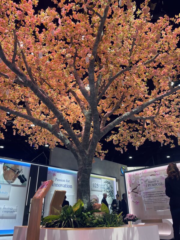 Inside ASCO25 Exhibition - Who did it the best?