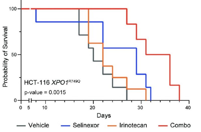 Justin Taylor: Happy to Share Our Latest Paper on XPO1 R749Q Mutations Online Ahead of Print in Cancer Research