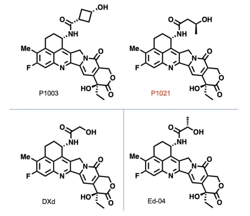 Raffaele Colombo: Preclinical development of DB-1419 published on Clinical Cancer Research AACR