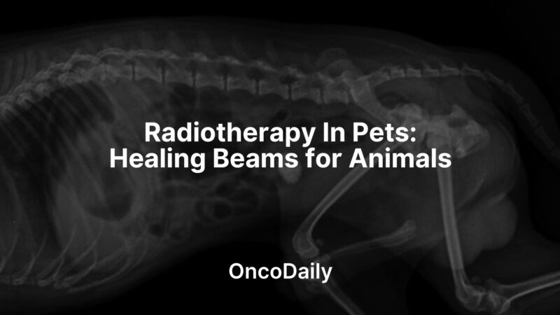 Radiotherapy In Pets: Healing Beams for Animals