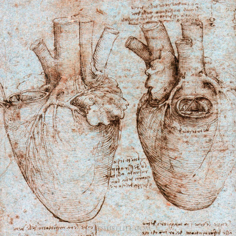 Cardio-oncology heart and cancer 