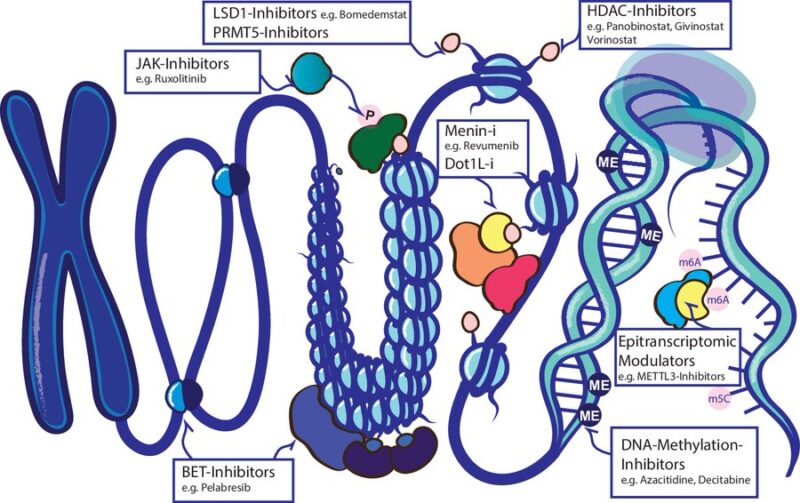 Myeloid Cancers