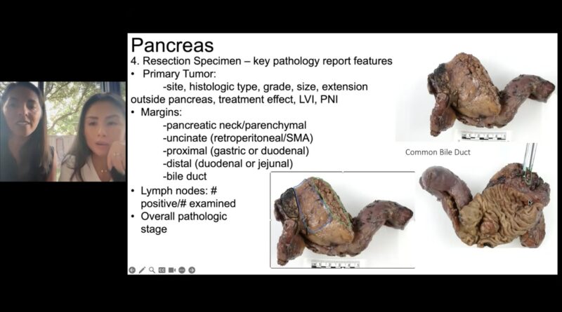 Suntrea Hammer GI pathology 101 series