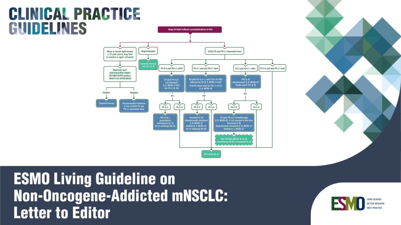 Updated ESMO Clinical Practice Guideline Recommendations in the Non-oncogene-addicted Metastatic NSCLC