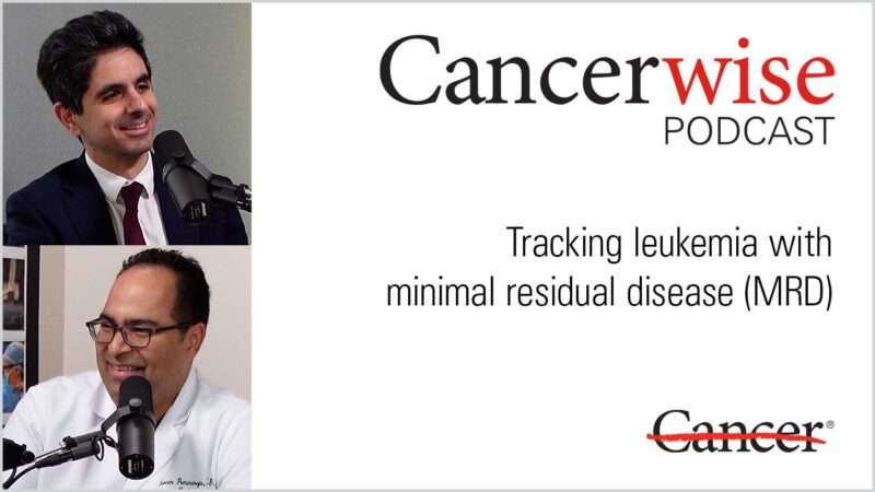Naveen Pemmaraju and Fadi Haddad In New Episode of Cancerwise Podcast on The Future of Leukemia Treatment
