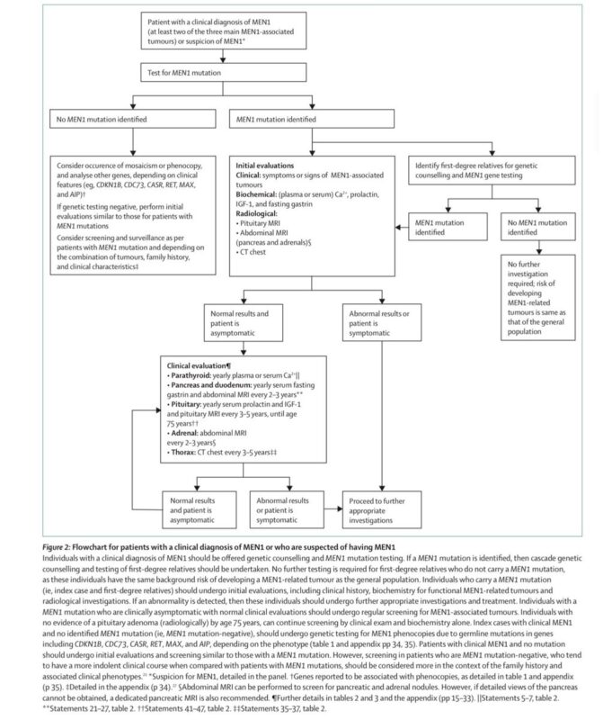 Mark Lewis: New MEN1 Guidelines - My Personal Perspective As a Patient, Parent, and Physician