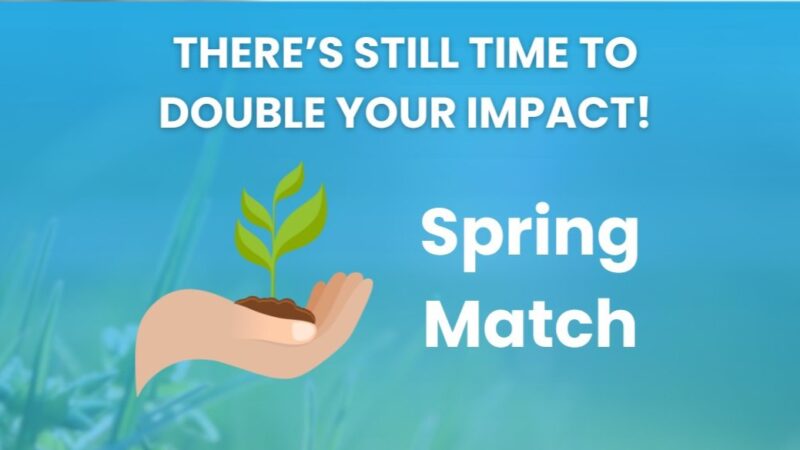 There’s Still Time to Double Your Impact – National Foundation for Cancer Research
