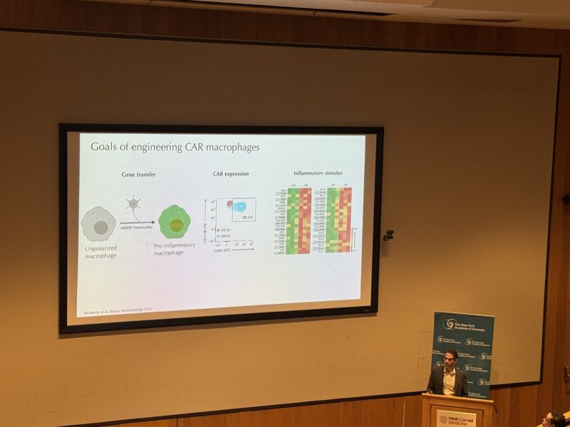 Gene Editing