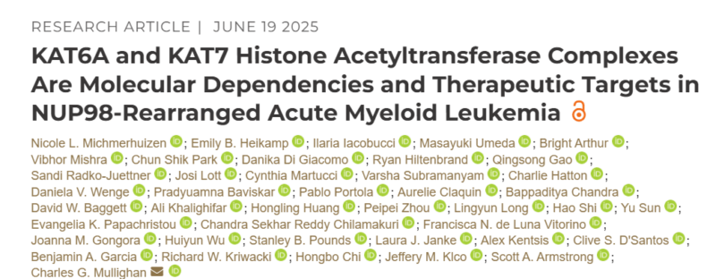 Elizabeth McKenna: New Studies on KAT6/7 Histone Acetyltransferase as Therapeutic Targets in AML Published in Cancer Discovery