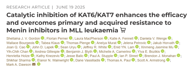 Elizabeth McKenna: New Studies on KAT6/7 Histone Acetyltransferase as Therapeutic Targets in AML Published in Cancer Discovery