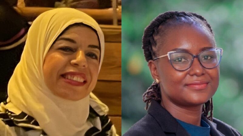 Wafaa M Rashed: Celebrating Dr. Aneth David – A Trailblazer in Science and Policy