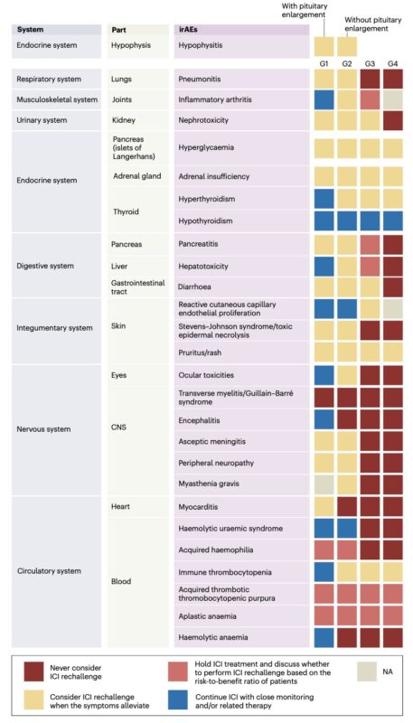 Lung Cancer