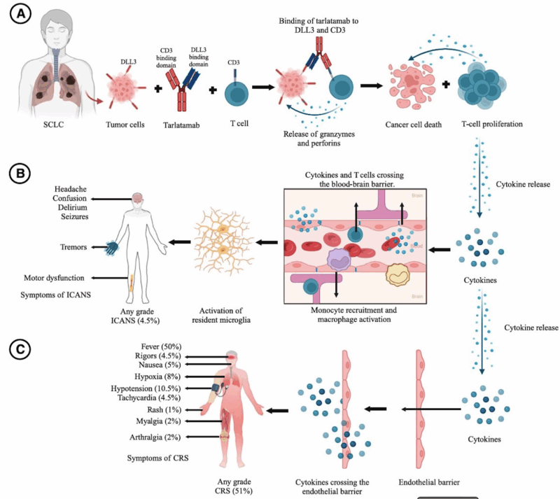 15 Posts Not to Miss from the 2nd Day of ASCO 2025