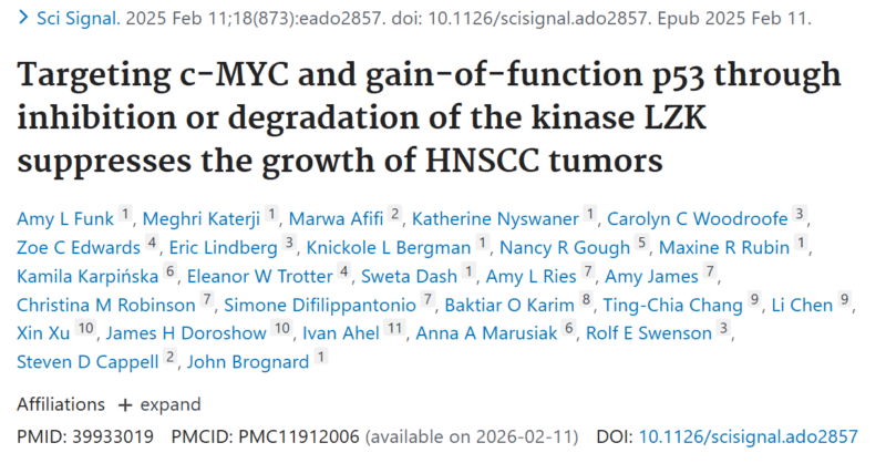 PROTAC Targeting LZK Shows Promise for Treating HNSCC - NCI Center for Cancer Research