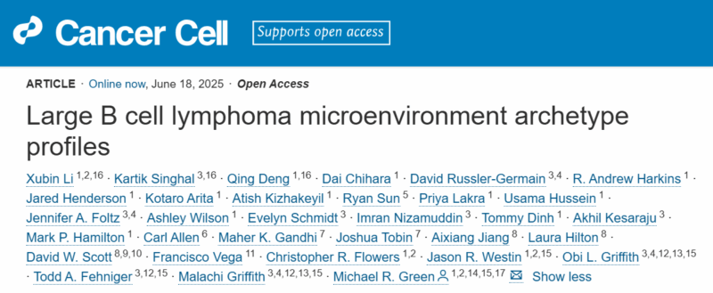 Researchers Identify Key B-cell Lymphoma Traits Linked with Greatest Benefit from CD19 CAR T Cell Therapy