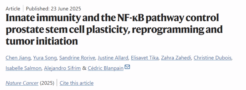 Cedric Blanpain Shares New Study on the Role of Innate Immunity in Regulating Cell Plasticity and Reprogramming of Prostate Tumor Initiating Cells