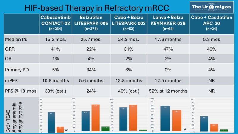 Brian Rini: ASCO 2025 HIF inhibitor combination results