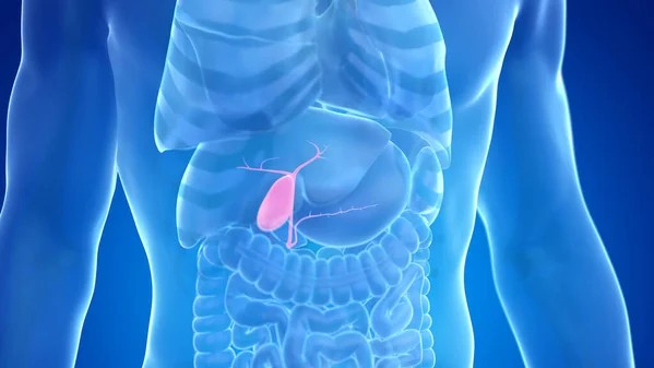 ESMO Open Shared 2025 Study Linking KRAS Variants to Therapeutic Outcomes in Biliary Tract Cancers