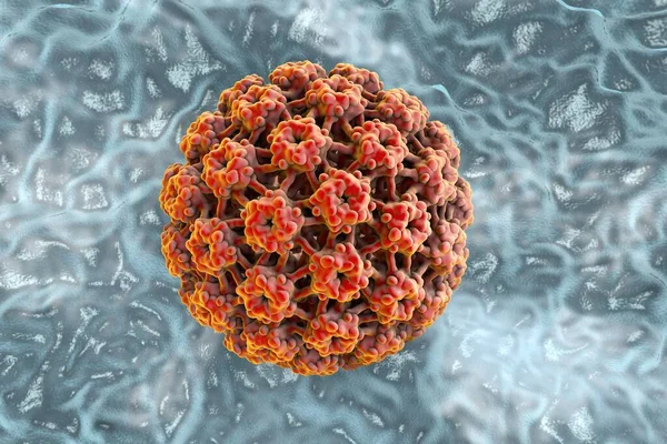 HPV and Cancer 