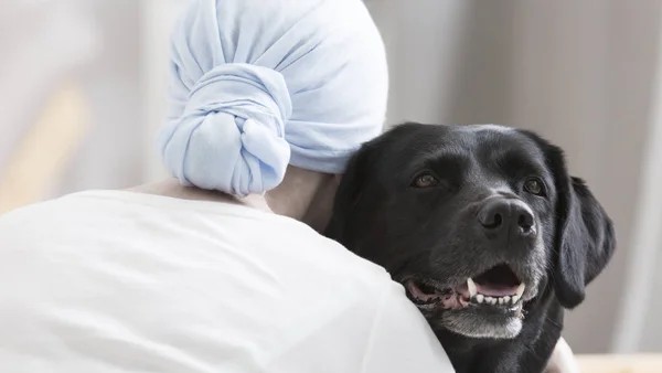Vivek Subbiah: Cancer Isn’t Just a Human Disease – It’s a Biological Reality Across Species, From Dogs to Tigers to the Extinct Dinosaurs