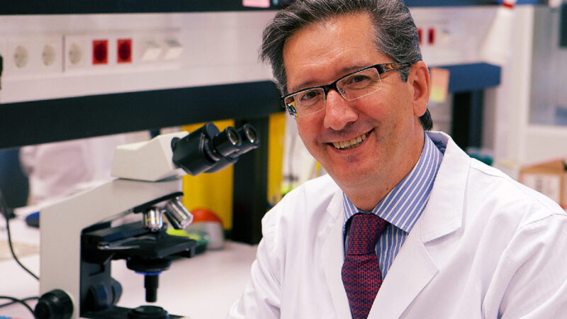 Juanjo Garcés: Jesus San-Miguel Has Received Prestigious Award at EHA 2025