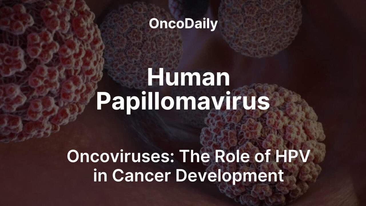 HPV and Cancer: From Risks to Prevention, Diagnosis, and Future Therapies