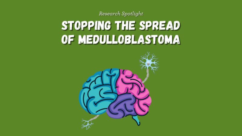 Stopping the Spread of Medulloblastoma – A Breakthrough from St. Baldrick’s Foundation
