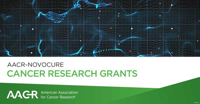 Novocure Career Development Awards: $300,000 Grant for Tumor Treating Fields Research – AACR