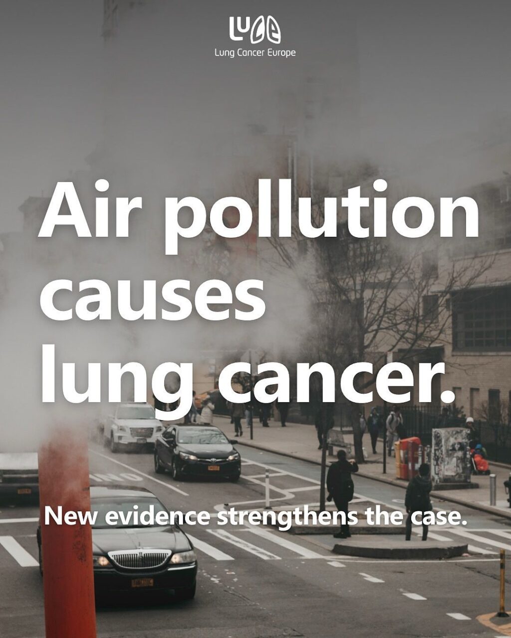 Lung Cancer Europe – Is This the Clearest Evidence Yet That Air Pollution Causes Lung Cancer?