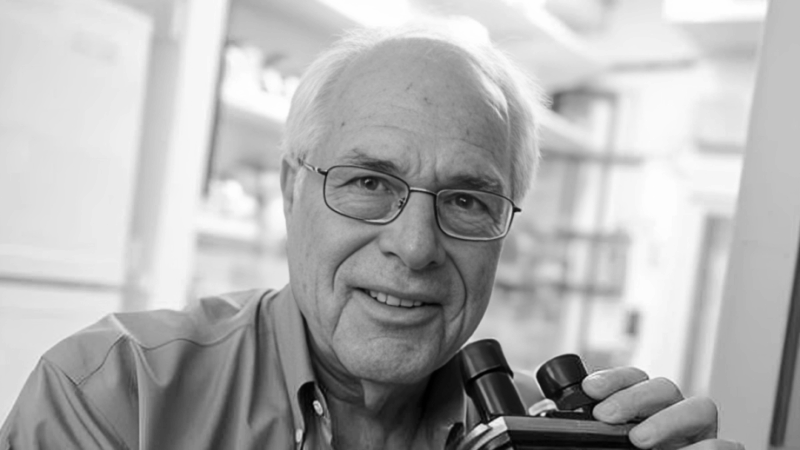 Patrick Hwu: Saddened to Hear of the Passing of a Giant in Immunology – Dr. Zelig Eshhar