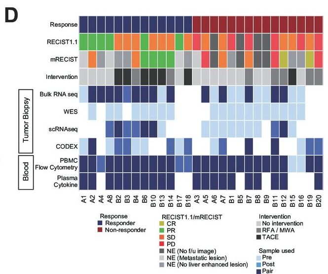 Framework for Future Analysis of Immune Response to Immunotherapy in Liver Cancer - NCI Center for Cancer Research