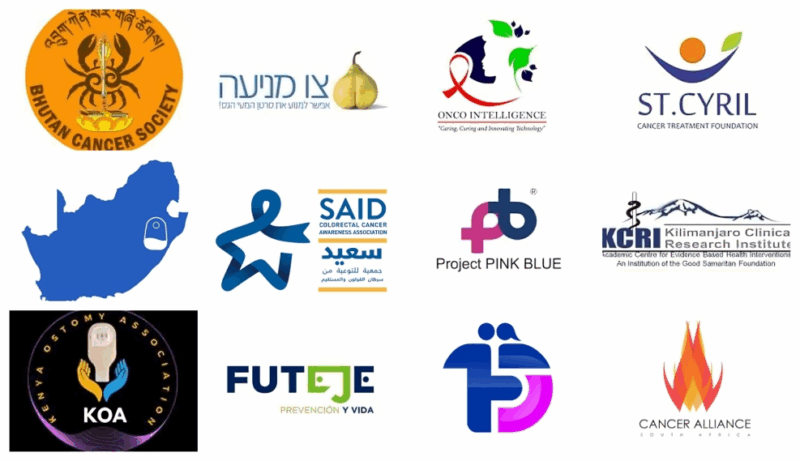 The 12 Recipients of GCCA’s 2025 CRC Health Equity Grants – Global Colon Cancer Association