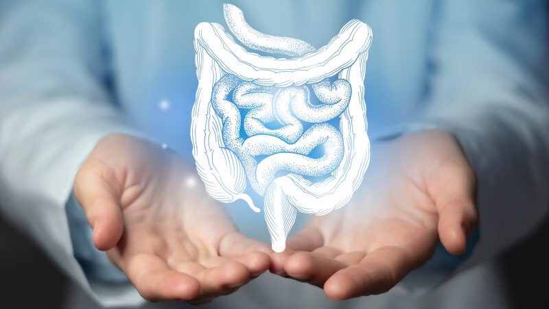 Young-Onset Colorectal Cancer is on the Rise and Often Missed – IU Simon Comprehensive Cancer Center