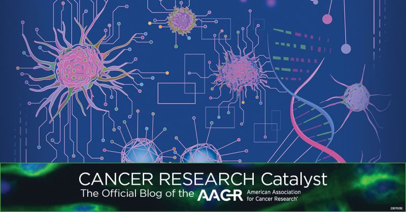 Highlights From the July Issues of the AACR’s 10 Peer-Reviewed Journals