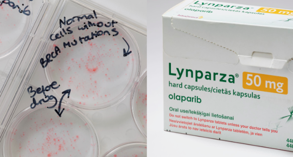 PARP Inhibitors